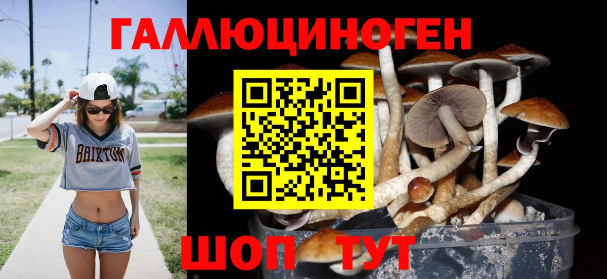 Псилоцибиновые грибы прущие грибы  Вход с VPN  Рассказово 
